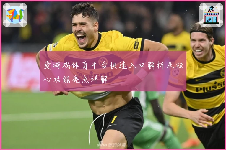 爱游戏体育平台快速入口解析及核心功能亮点详解